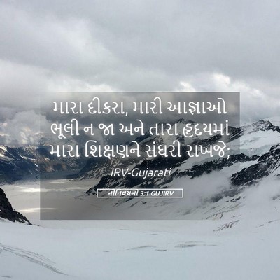 Picture 05 - નીતિવચનો 3:1 GUJIRV - મારા દીકરા, મારી - Bible Verse Picture