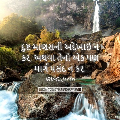 Picture 05 - નીતિવચનો 3:31 GUJIRV - દુષ્ટ માણસની - Bible Verse Picture