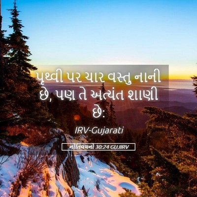 Picture 05 - નીતિવચનો 30:24 GUJIRV - પૃથ્વી પર ચાર - Bible Verse Picture