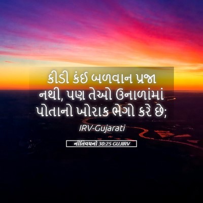 Picture 05 - નીતિવચનો 30:25 GUJIRV - કીડી કંઈ બળવાન - Bible Verse Picture