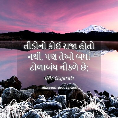 Picture 05 - નીતિવચનો 30:27 GUJIRV - તીડોનો કોઈ રાજા - Bible Verse Picture