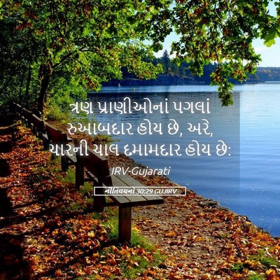Picture 05 - નીતિવચનો 30:29 GUJIRV - ત્રણ પ્રાણીઓનાં - Bible Verse Picture