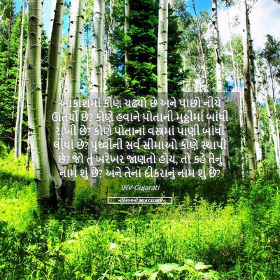 Picture 05 - નીતિવચનો 30:4 GUJIRV - આકાશમાં કોણ ચઢ્યો - Bible Verse Picture