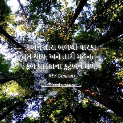 Picture 05 - નીતિવચનો 5:10 GUJIRV - રખેને તારા બળથી - Bible Verse Picture