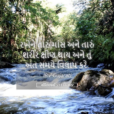 Picture 05 - નીતિવચનો 5:11 GUJIRV - રખેને તારું માંસ - Bible Verse Picture