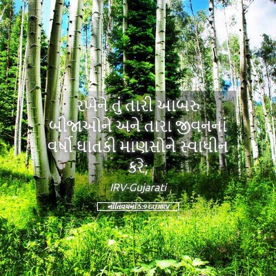 Picture 05 - નીતિવચનો 5:9 GUJIRV - રખેને તું તારી - Bible Verse Picture