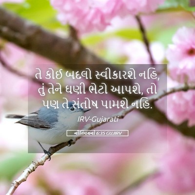 Picture 05 - નીતિવચનો 6:35 GUJIRV - તે કોઈ બદલો - Bible Verse Picture