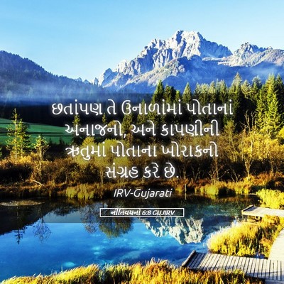Picture 05 - નીતિવચનો 6:8 GUJIRV - છતાંપણ તે - Bible Verse Picture