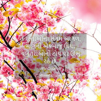 Picture 05 - નીતિવચનો 8:2 GUJIRV - તે રસ્તાઓના સંગમ - Bible Verse Picture