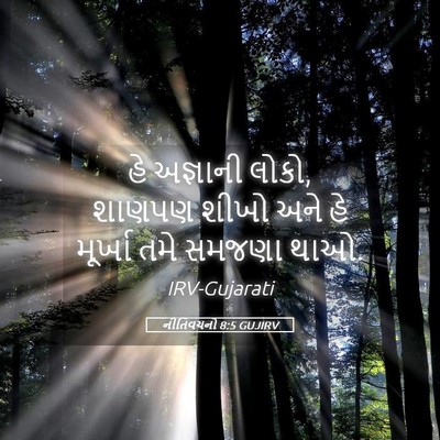 Picture 05 - નીતિવચનો 8:5 GUJIRV - હે અજ્ઞાની લોકો, - Bible Verse Picture