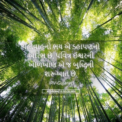 Picture 05 - નીતિવચનો 9:10 GUJIRV - યહોવાહનો ભય એ - Bible Verse Picture