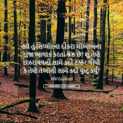 Picture 05 - ન્યાયાધીશો 11:25 GUJIRV - હવે તું સિપ્પોરના - Bible Verse Picture