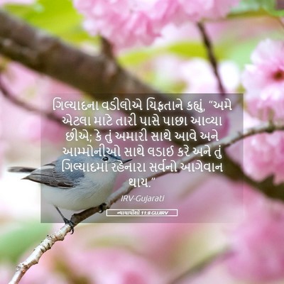 Picture 05 - ન્યાયાધીશો 11:8 GUJIRV - ગિલ્યાદના વડીલોએ - Bible Verse Picture