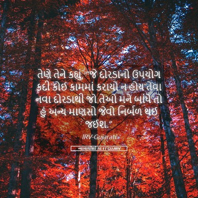 Picture 05 - ન્યાયાધીશો 16:11 GUJIRV - તેણે તેને કહ્યું, - Bible Verse Picture