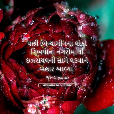 Picture 05 - ન્યાયાધીશો 20:14 GUJIRV - પછી બિન્યામીનના - Bible Verse Picture