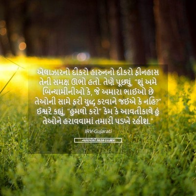 Picture 05 - ન્યાયાધીશો 20:28 GUJIRV - એલાઝારનો દીકરો - Bible Verse Picture