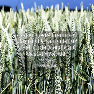 Picture 05 - ન્યાયાધીશો 21:1 GUJIRV - ઇઝરાયલી પુરુષોએ - Bible Verse Picture