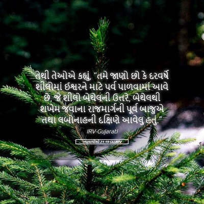 Picture 05 - ન્યાયાધીશો 21:19 GUJIRV - તેથી તેઓએ કહ્યું, - Bible Verse Picture