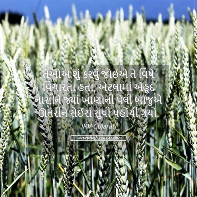 Picture 05 - ન્યાયાધીશો 3:26 GUJIRV - તેઓએ શું કરવું - Bible Verse Picture