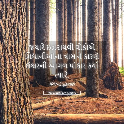 Picture 05 - ન્યાયાધીશો 6:7 GUJIRV - જયારે ઇઝરાયલી - Bible Verse Picture