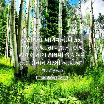 Picture 05 - ન્યાયાધીશો 8:6 GUJIRV - સુક્કોથના - Bible Verse Picture