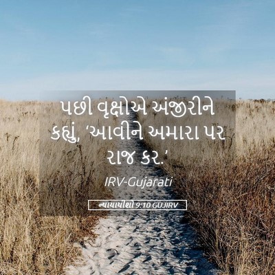 Picture 05 - ન્યાયાધીશો 9:10 GUJIRV - પછી વૃક્ષોએ - Bible Verse Picture