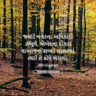 Picture 05 - ન્યાયાધીશો 9:30 GUJIRV - જયારે નગરના - Bible Verse Picture