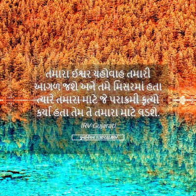 Picture 05 - પુનર્નિયમ 1:30 GUJIRV - તમારા ઈશ્વર - Bible Verse Picture
