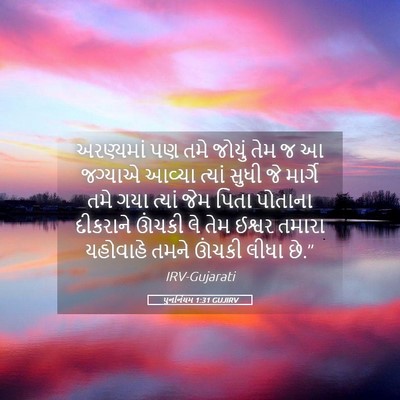 Picture 05 - પુનર્નિયમ 1:31 GUJIRV - અરણ્યમાં પણ તમે - Bible Verse Picture