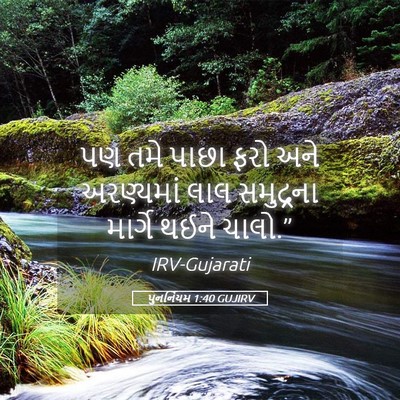 Picture 05 - પુનર્નિયમ 1:40 GUJIRV - પણ તમે પાછા ફરો અને - Bible Verse Picture