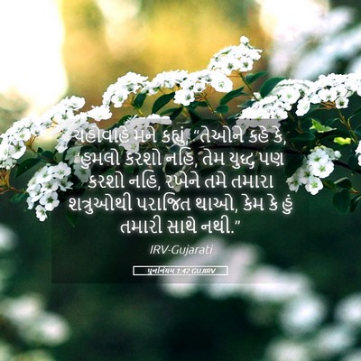 Picture 05 - પુનર્નિયમ 1:42 GUJIRV - યહોવાહે મને - Bible Verse Picture