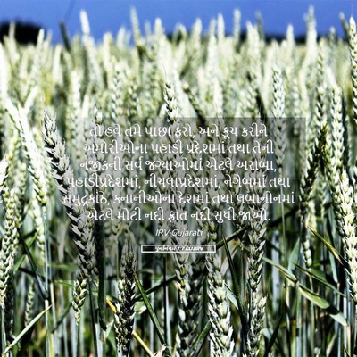 Picture 05 - પુનર્નિયમ 1:7 GUJIRV - તો હવે તમે પાછા - Bible Verse Picture