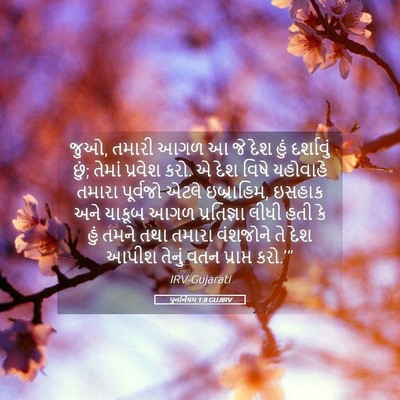 Picture 05 - પુનર્નિયમ 1:8 GUJIRV - જુઓ, તમારી આગળ આ જે - Bible Verse Picture