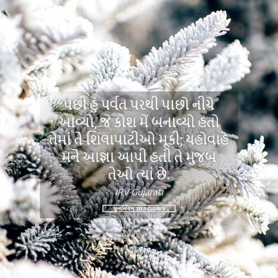 Picture 05 - પુનર્નિયમ 10:5 GUJIRV - પછી હું પર્વત પરથી - Bible Verse Picture
