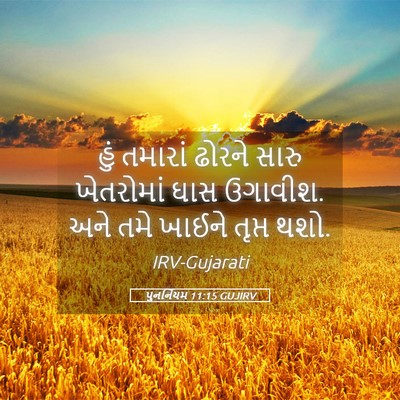 Picture 05 - પુનર્નિયમ 11:15 GUJIRV - હું તમારાં ઢોરને - Bible Verse Picture