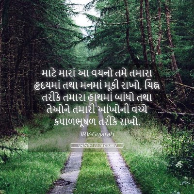 Picture 05 - પુનર્નિયમ 11:18 GUJIRV - માટે મારાં આ વચનો - Bible Verse Picture