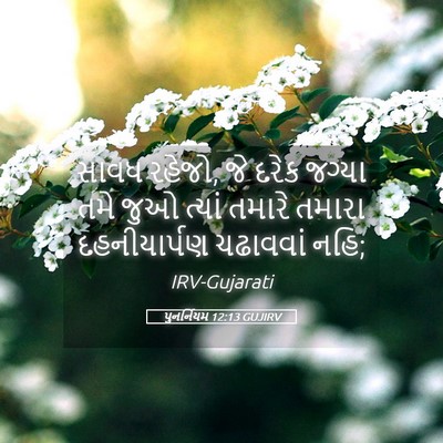 Picture 05 - પુનર્નિયમ 12:13 GUJIRV - સાવધ રહેજો, જે દરેક - Bible Verse Picture