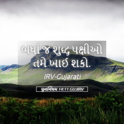 Picture 05 - પુનર્નિયમ 14:11 GUJIRV - બધાં જ શુદ્ધ - Bible Verse Picture
