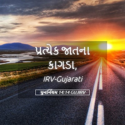 Picture 05 - પુનર્નિયમ 14:14 GUJIRV - પ્રત્યેક જાતના - Bible Verse Picture