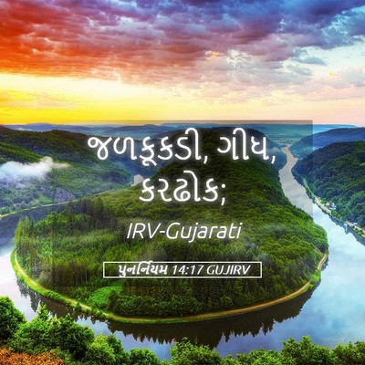 Picture 05 - પુનર્નિયમ 14:17 GUJIRV - જળકૂકડી, ગીધ, - Bible Verse Picture