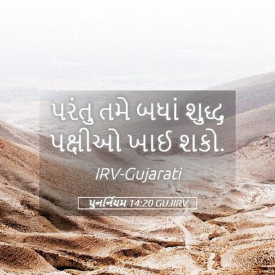 Picture 05 - પુનર્નિયમ 14:20 GUJIRV - પરંતુ તમે બધાં - Bible Verse Picture