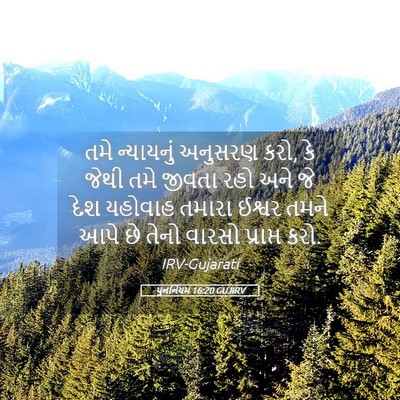 Picture 05 - પુનર્નિયમ 16:20 GUJIRV - તમે ન્યાયનું - Bible Verse Picture