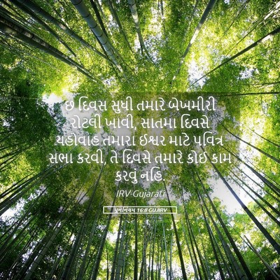 Picture 05 - પુનર્નિયમ 16:8 GUJIRV - છ દિવસ સુધી તમારે - Bible Verse Picture