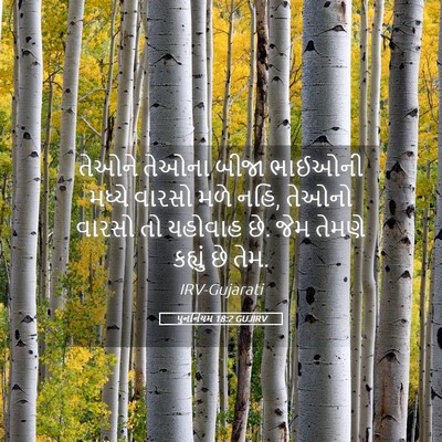Picture 05 - પુનર્નિયમ 18:2 GUJIRV - તેઓને તેઓના બીજા - Bible Verse Picture
