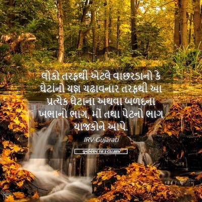 Picture 05 - પુનર્નિયમ 18:3 GUJIRV - લોકો તરફથી એટલે - Bible Verse Picture