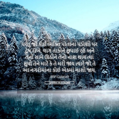 Picture 05 - પુનર્નિયમ 19:11 GUJIRV - પરંતુ જો કોઈ - Bible Verse Picture