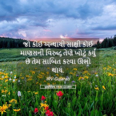 Picture 05 - પુનર્નિયમ 19:16 GUJIRV - જો કોઈ અન્યાયી - Bible Verse Picture