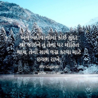 Picture 05 - પુનર્નિયમ 21:11 GUJIRV - અને બંદીવાનોમાં - Bible Verse Picture