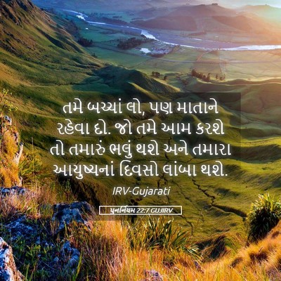 Picture 05 - પુનર્નિયમ 22:7 GUJIRV - તમે બચ્ચાં લો, પણ - Bible Verse Picture