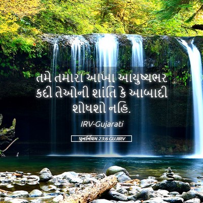 Picture 05 - પુનર્નિયમ 23:6 GUJIRV - તમે તમારા આખા - Bible Verse Picture
